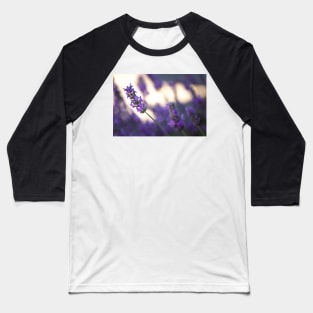 Close-up of lavender blossoms Baseball T-Shirt